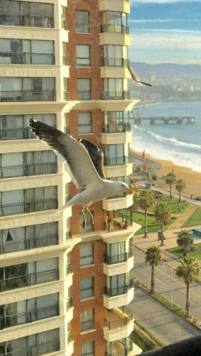 Mar Mall Depto Frente al Mar primera linea